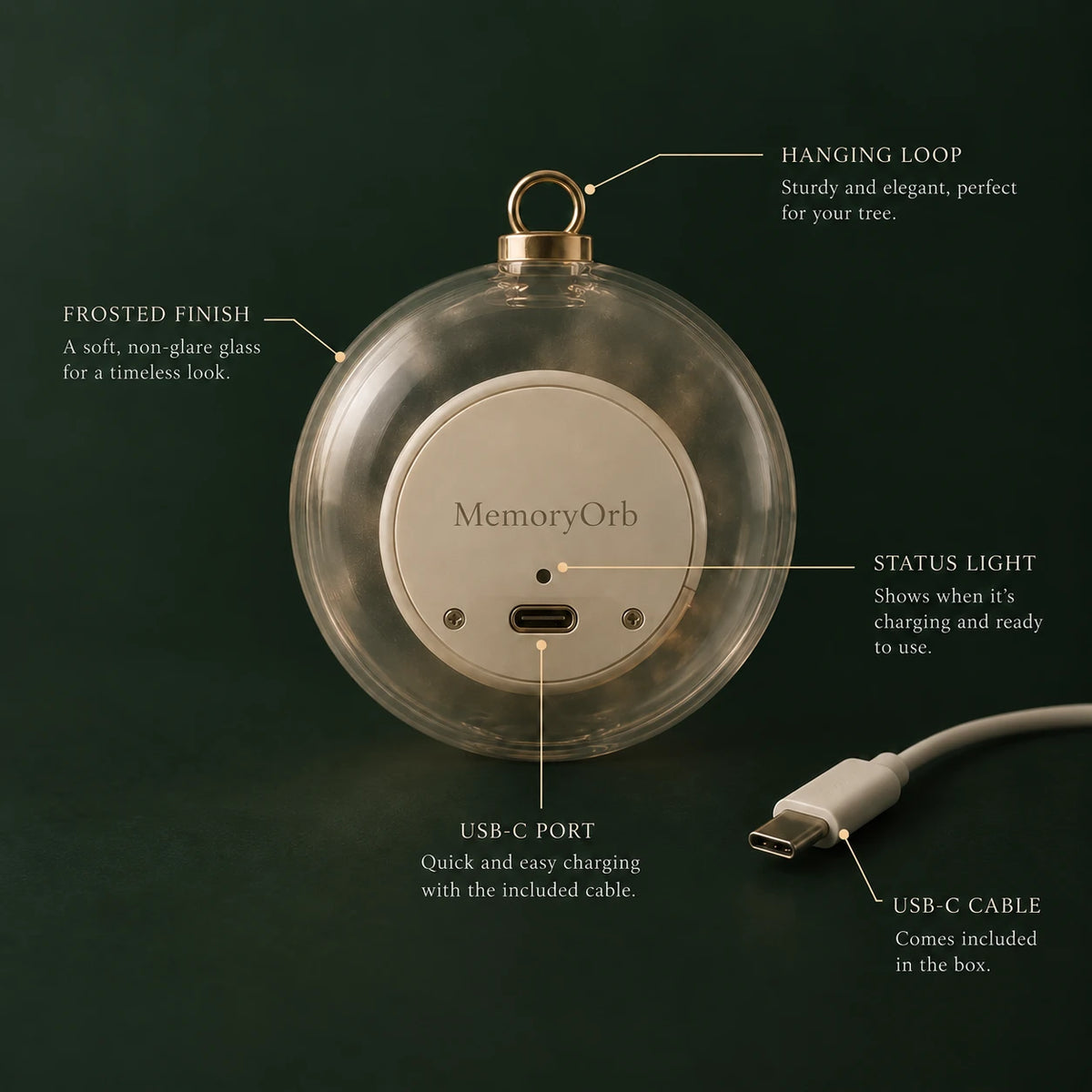 The parts of the orb: hanging loop, frosted finish, status light, USB-C port and cable